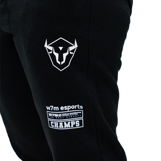 Calça Moletom Casual - Champs